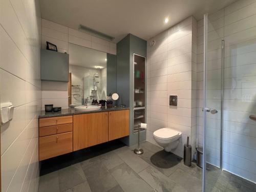 レイキャビクにあるModern 2BR Apartment with Balcony and Stunning Viewsのトイレ、洗面台、シャワー付きのバスルーム