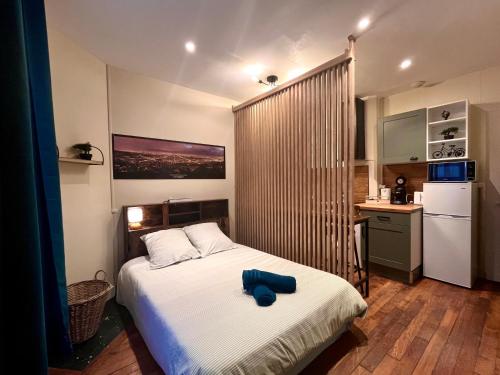 a bedroom with a bed with a blue object on it at La Pause - 15m2 - central - proche parking in Auxerre