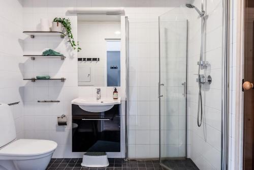 a bathroom with a shower and a toilet and a sink at Large apartment in ski resort Kungsberget in Järbo