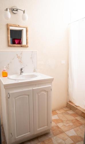 a bathroom with a white sink and a shower at BLR Villas Dover Beach in Christ Church