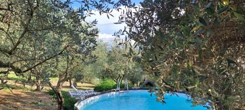 a swimming pool in the middle of some trees at Agriturismo Il Pintello in San Casciano in Val di Pesa