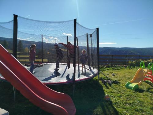 a group of people playing on a trampoline at GreenHeart-Măguri in Măguri-Răcătău