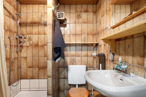 een badkamer met wastafel en toilet bij Appartment Auszeit in Schönwald
