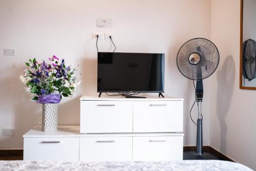 TV a/nebo společenská místnost v ubytování Dicentra Guest House