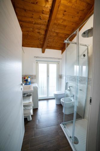 a bathroom with a shower and a sink and a toilet at Dicentra Guest House in Villanova dʼAsti