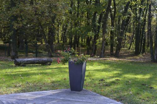 a black vase with flowers in a park at Le Bois Dormant-Hôtel Restaurant & Spa Logis Hôtel in Champagnole