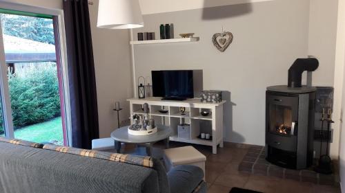 a living room with a couch and a fireplace at Ferienwohnung Sonneneck mit Boot und Kanu in Seedorf