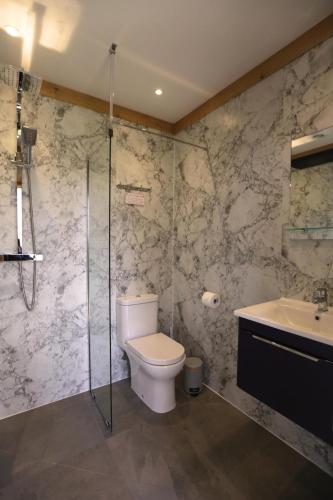 a bathroom with a toilet and a shower and a sink at 1 Bed Hut - Sleeps 4 - Pets - Parking in Minehead