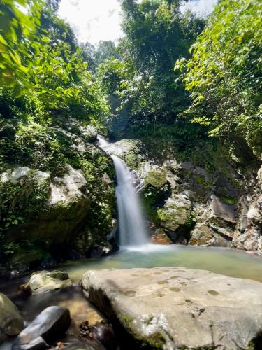a waterfall in the middle of a forest at Nido Nomad Lodge in Tamparuli