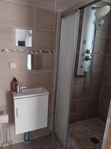 a bathroom with a shower and a sink at Studio sympa meublé avec parking privé et piscine in Manosque