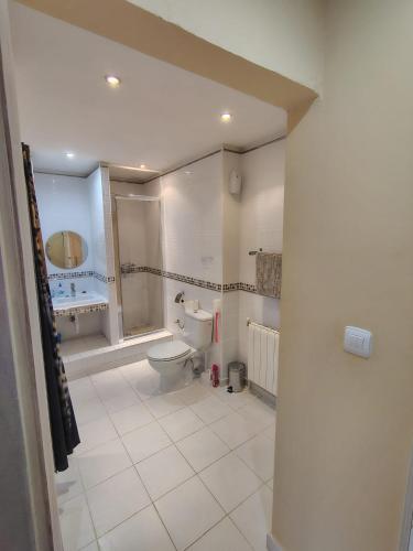 a bathroom with a toilet and a shower in it at Natura Escapade Guesthouse in Torrox