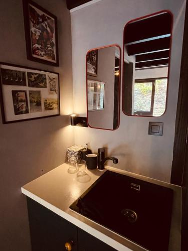 布鲁日Tiny House The Bird House的浴室里有洗手池和镜子