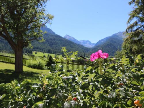a pink flower in a garden with mountains in the background at Hotel Schweizerhof Sta Maria in Sta Maria Val Müstair