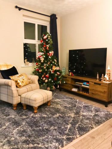 a living room with a christmas tree and a television at Charming Pembrokeshire Townhouse in Pembrokeshire