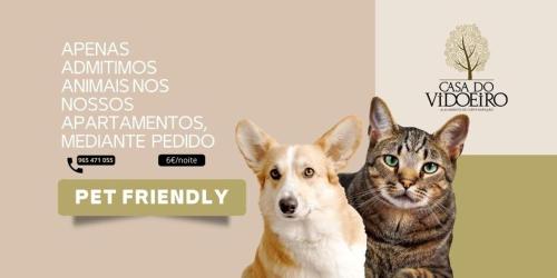 a dog and a cat sitting next to each other at Casa do Vidoeiro in Seia