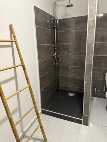 a bathroom with a shower with a ladder at Canopia Sunset in Mamoudzou