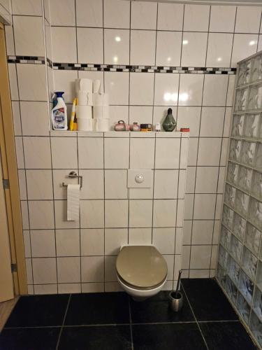 een badkamer met een toilet in een witte betegelde muur bij Hoeve de Haan in Bellingwolde