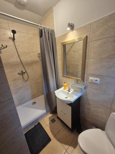 Un baño con lavabo, ducha e inodoro. en Kwatery u Jarka z ogrodem i parkingiem, en Jelenia Góra
