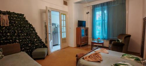 TV a/nebo společenská místnost v ubytování Rákóczi Guesthouse Miskolc