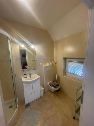 a bathroom with a toilet and a sink and a shower at Apartments and Rooms With View on Bled in Bled