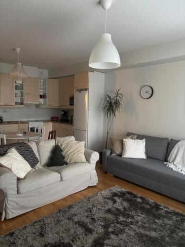 Η κουζίνα ή μικρή κουζίνα στο Cozy two-room apartment in the center of Rovaniemi