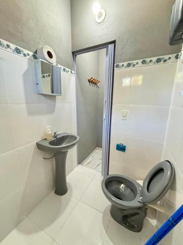 a bathroom with a toilet and a sink at Hospedaje Paluma in Asunción