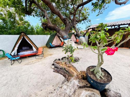 Fotografie z fotogalerie ubytování Beco do Kite - BG v destinaci Barra Grande