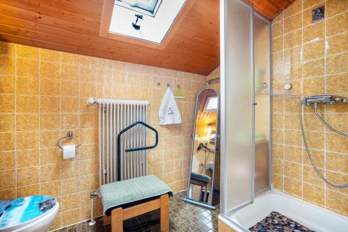 a bathroom with a shower and a toilet and a sink at Schaumann’s Hüs in Hub