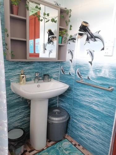 a bathroom with a sink and birds on the wall at Villa Camille A8A in Grand-Baie