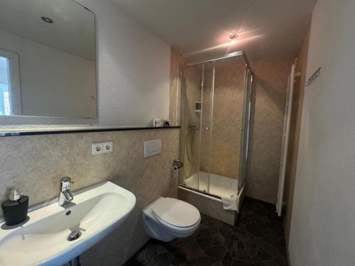 a bathroom with a sink and a shower and a toilet at Pension Bergseeblick in Titisee-Neustadt