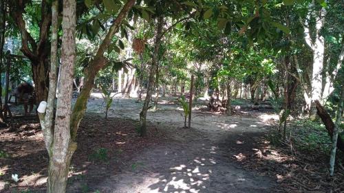 Afbeelding uit fotogalerij van Chalé da Floresta in Belém