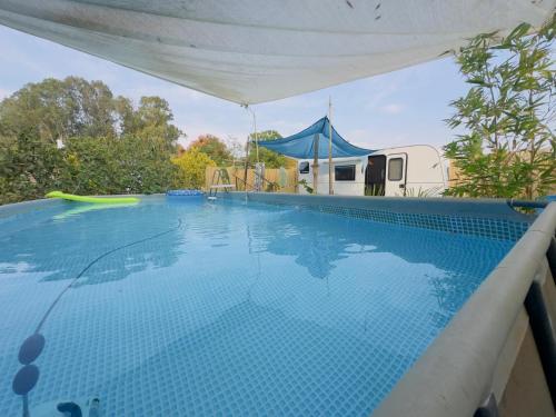 Bazén v ubytování הקרוואן במושב nebo v jeho okolí