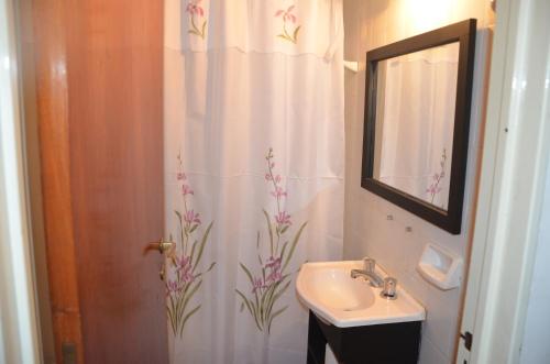 a bathroom with a sink and a shower curtain at Mendoza pleno centro in Mendoza