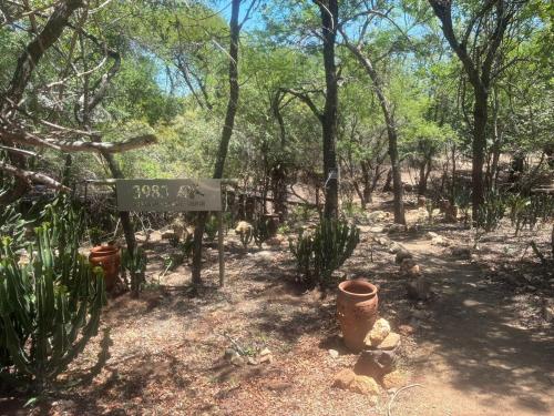 Κήπος έξω από το Reverie Safari Lodge, Marloth Park