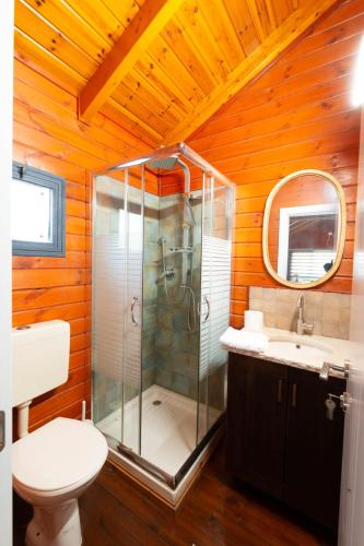 a bathroom with a shower and a toilet and a sink at Pnina Yafa BaGalil Zimmer in Qiryat Shemona