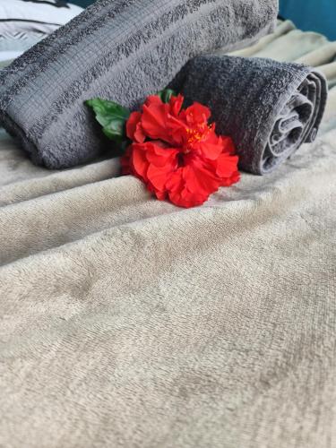 Glamping en pleine nature Rêve et Racines