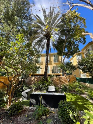 Under the Citrus Trees