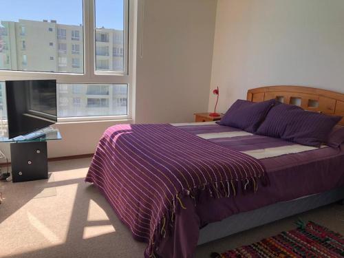 Imagine din galeria proprietății Papudo laguna în Papudo