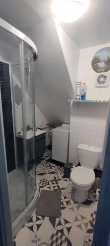 a bathroom with a shower and a toilet at appt F3 - La Bresse/Cornimont in Cornimont