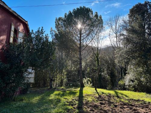 Κήπος έξω από το La Caseta de l'Adela