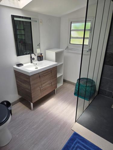 a bathroom with a sink and a mirror and a shower at Appart Cocotiers in La Saline les Bains