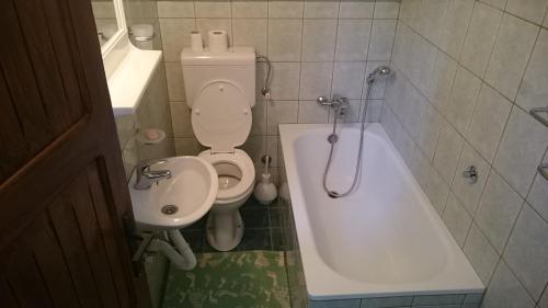 e bagno con servizi igienici e vasca. di Apartman Ana a Mokra Gora