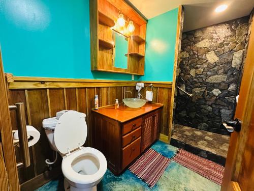 a bathroom with a toilet and a sink and a shower at Howler Landing Vacation Rental in Bermudian Landing