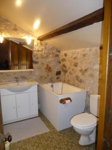 a bathroom with a toilet and a tub and a sink at Le petit moulin in Journet