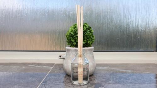 Un jarrón con una planta al lado de una ventana en Modern 3 bed house in Edmonton with private driveway parking, en Edmonton