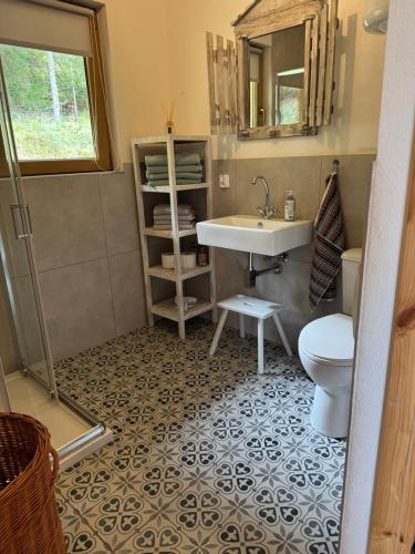 a bathroom with a toilet and a sink at Chata na Wzgórzu in Ochotnica Dolna