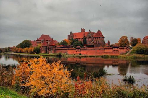 Apartament w Centrum Malborka