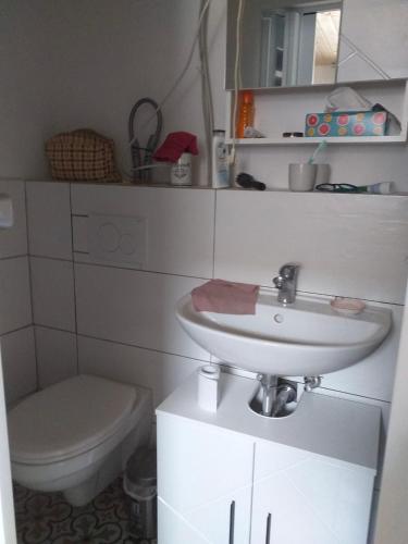a bathroom with a sink and a toilet at Alt Dwinge in Zwinge