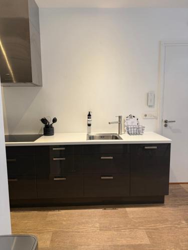 a kitchen with black cabinets and a sink at Koningshof XL in Alkmaar