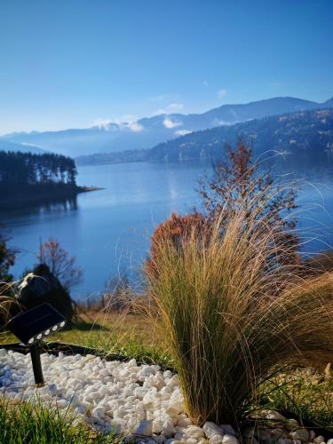 a bench on a hill with a view of a lake at Moon Lake Bicaz - Aurora Garden in Buhalniţa